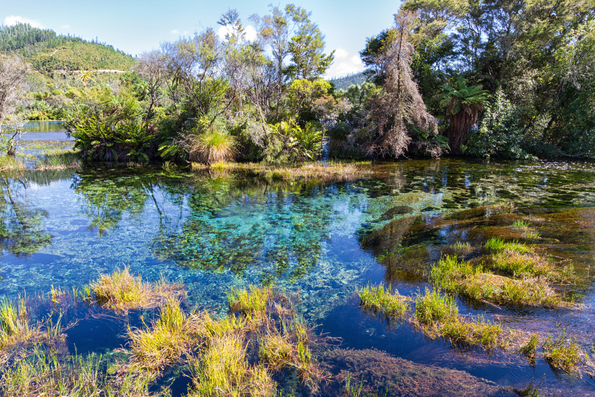 Waikoropupu springs, sebastian we, flickr